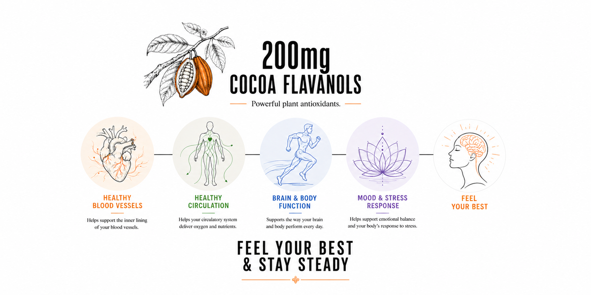 Codex Chocolate | Functional Dark Chocolate